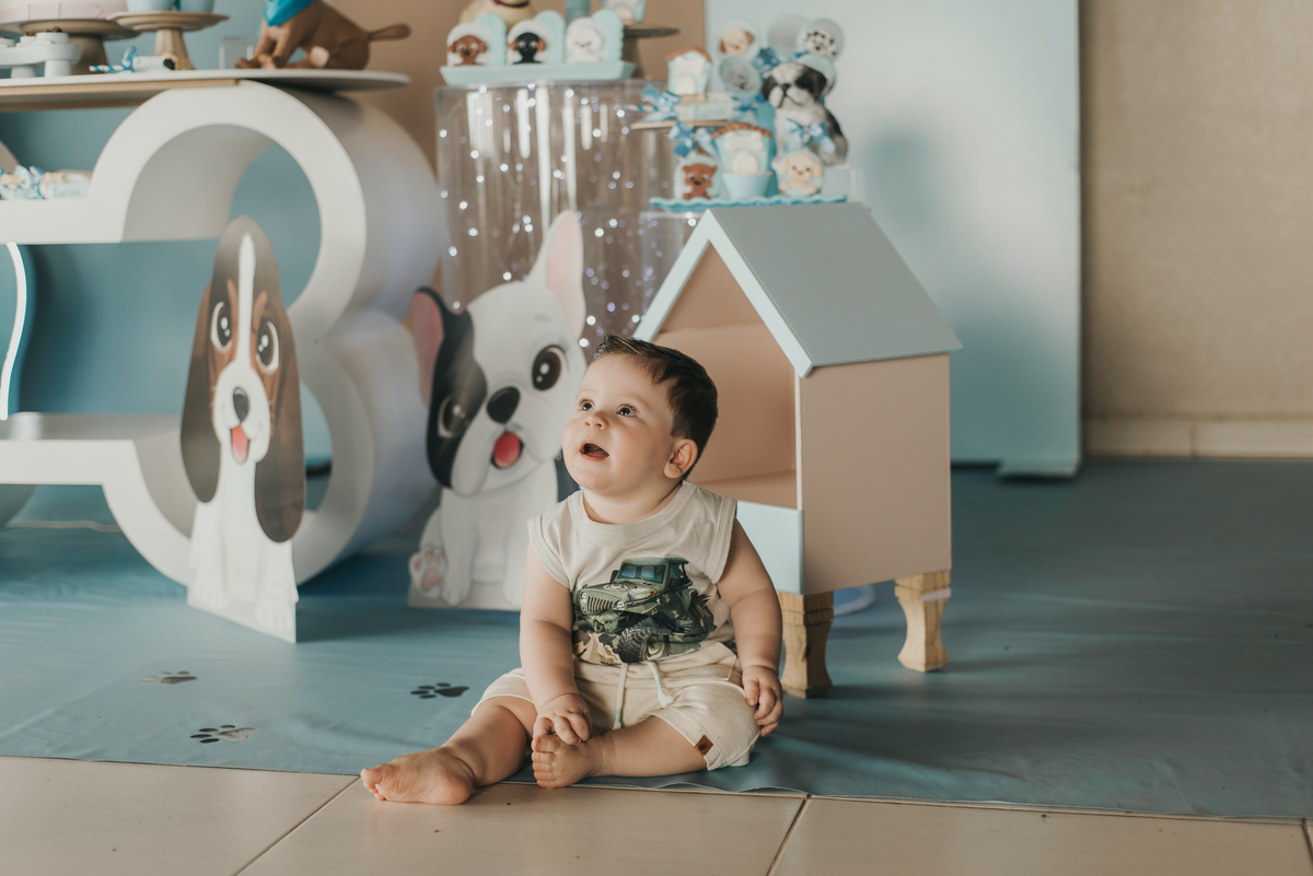 Aniversário infantil, festa 1 ano, tema cachorro, parabéns, em São Roque - SP