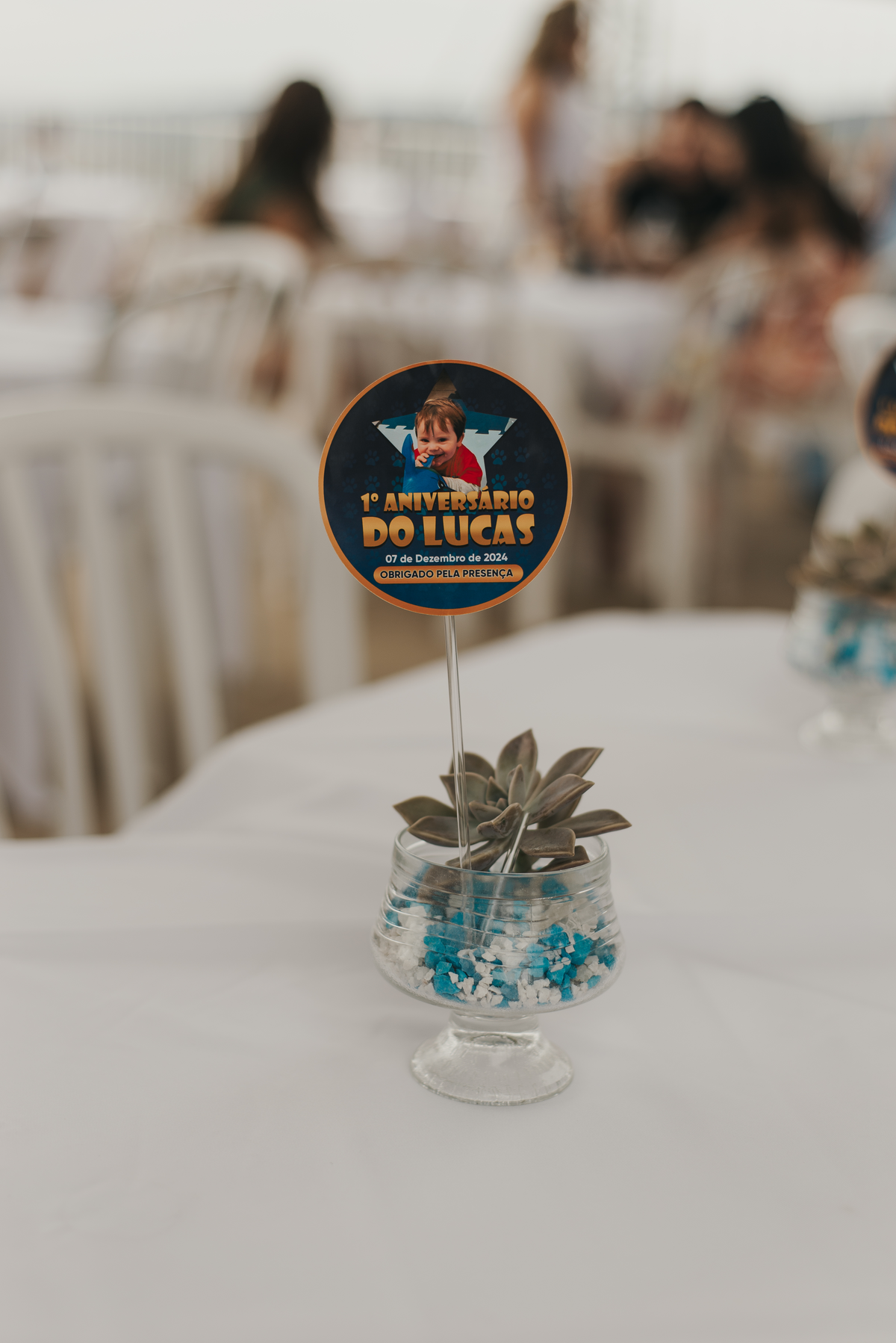 Aniversário infantil, festa 1 ano, tema cachorro, planta suculenta, lembrancinha 1 ano e diversão em São Roque - SP