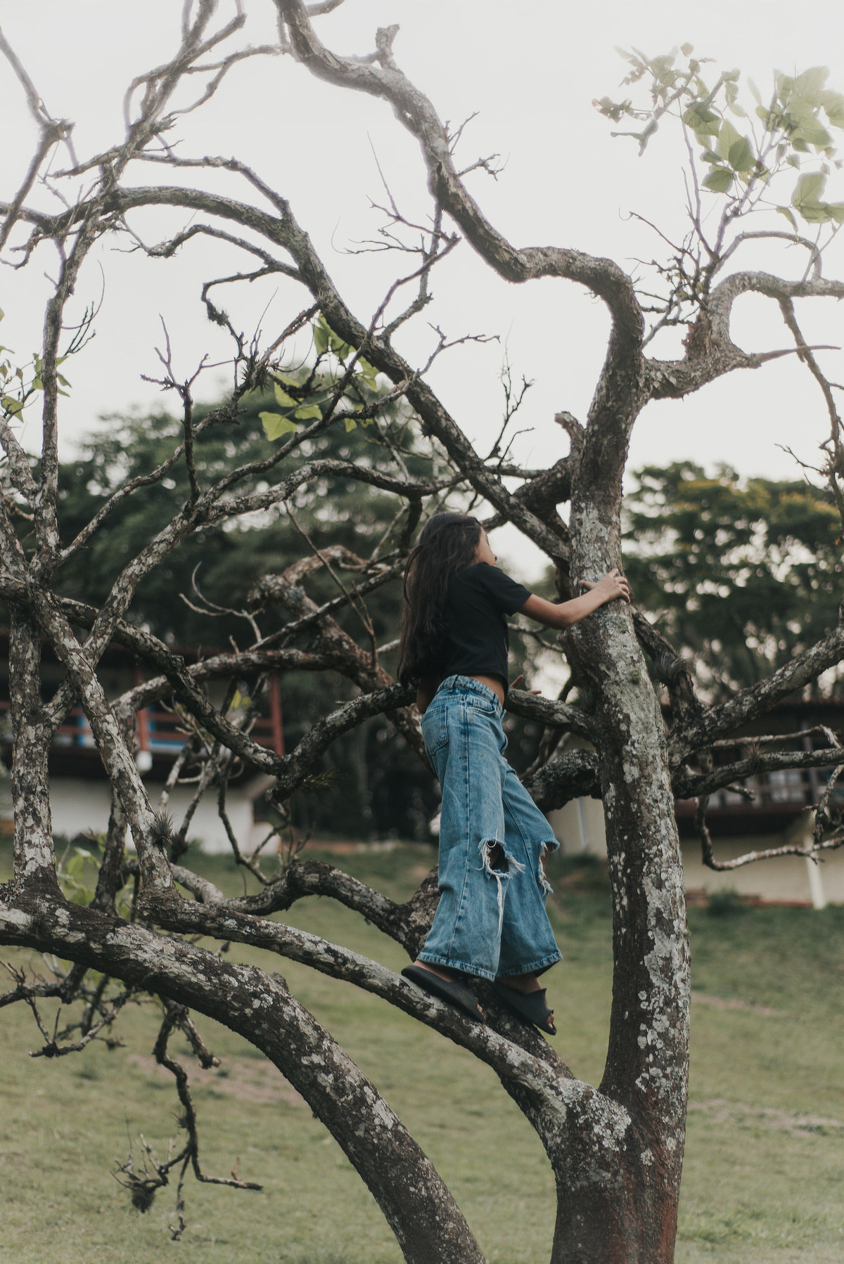  Ensaio infantil fotográfico, menina brincando, subindo na árvore em São Roque - SP