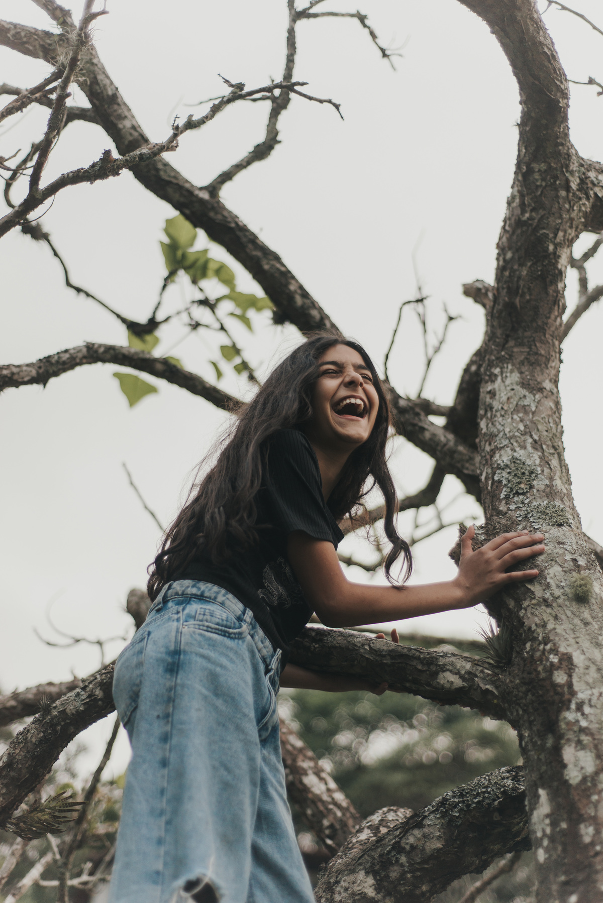  Ensaio infantil fotográfico, menina brincando, subindo na árvore em São Roque - SP