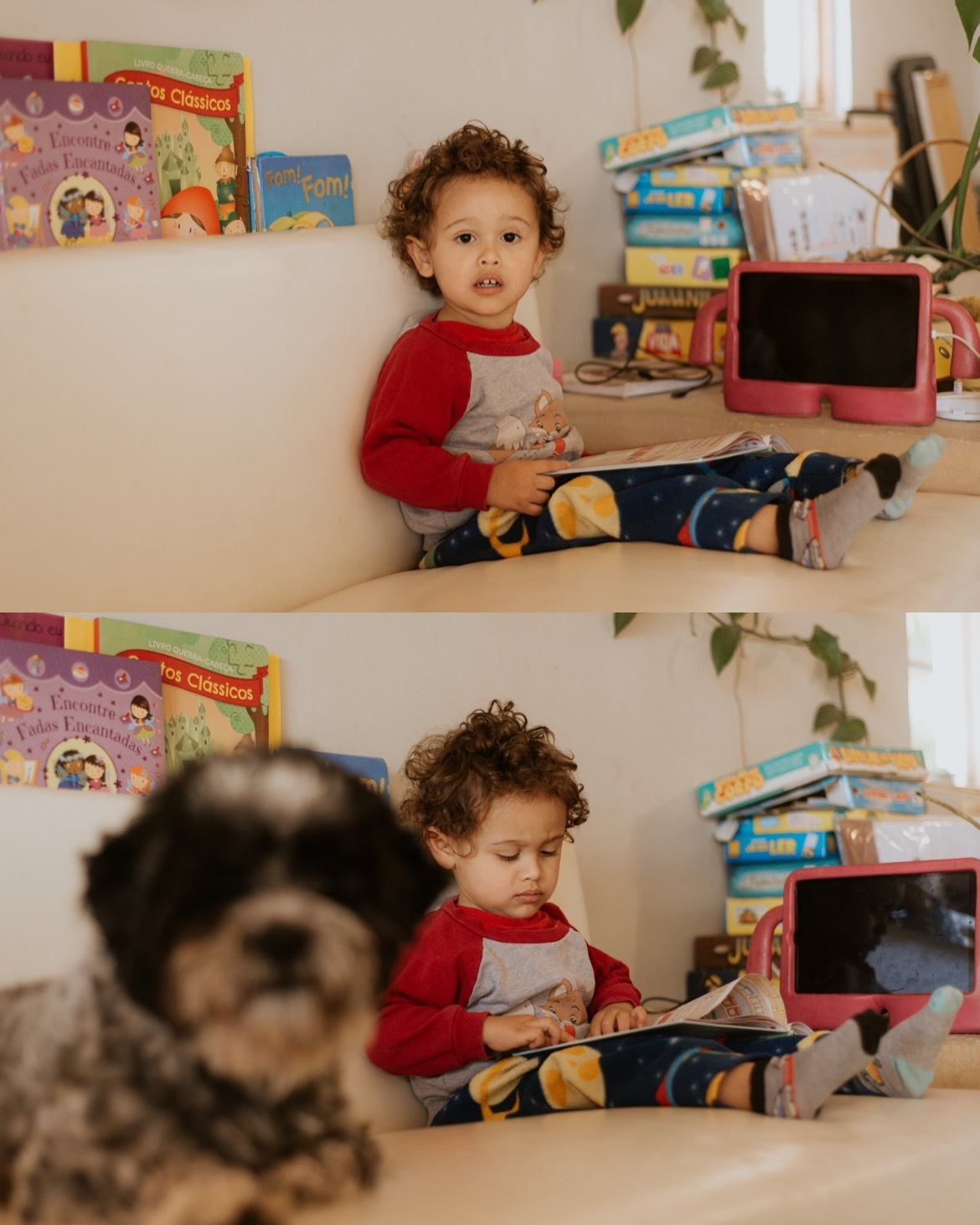 ensaio infantil em casa em São Roque SP / Livros / infância livre 