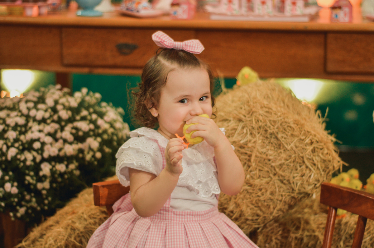 Cobertura aniversário infantil | Tema fazendinha | Decoracao de festa infantil | Tema fazendinha |Sao Roque SP