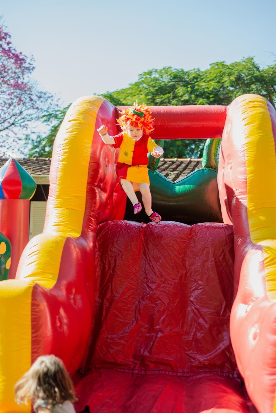 cobertura de aniversaio infantil | sitio do picapau amarelo | Sao Roque SP | Mairinque | Tainara Barsanulfo