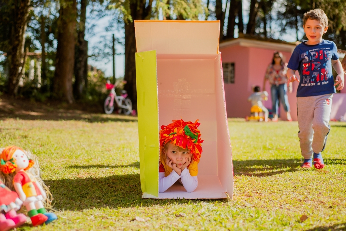 cobertura de aniversaio infantil | sitio do picapau amarelo | Sao Roque SP | Mairinque | Tainara Barsanulfo