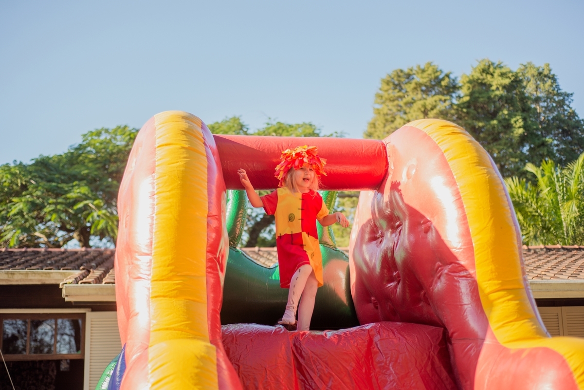 cobertura de aniversaio infantil | sitio do picapau amarelo | Sao Roque SP | Mairinque | Tainara Barsanulfo