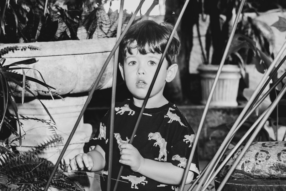 Fotografia festa infantil, fotografia festa infantil rio de janeiro, fotografia de familia, fotografo de festa infantil, fotografo de festas rio de janeiro, fotografia de familia, fotografo de familia rio de janeiro, fotografo festa infantil rj