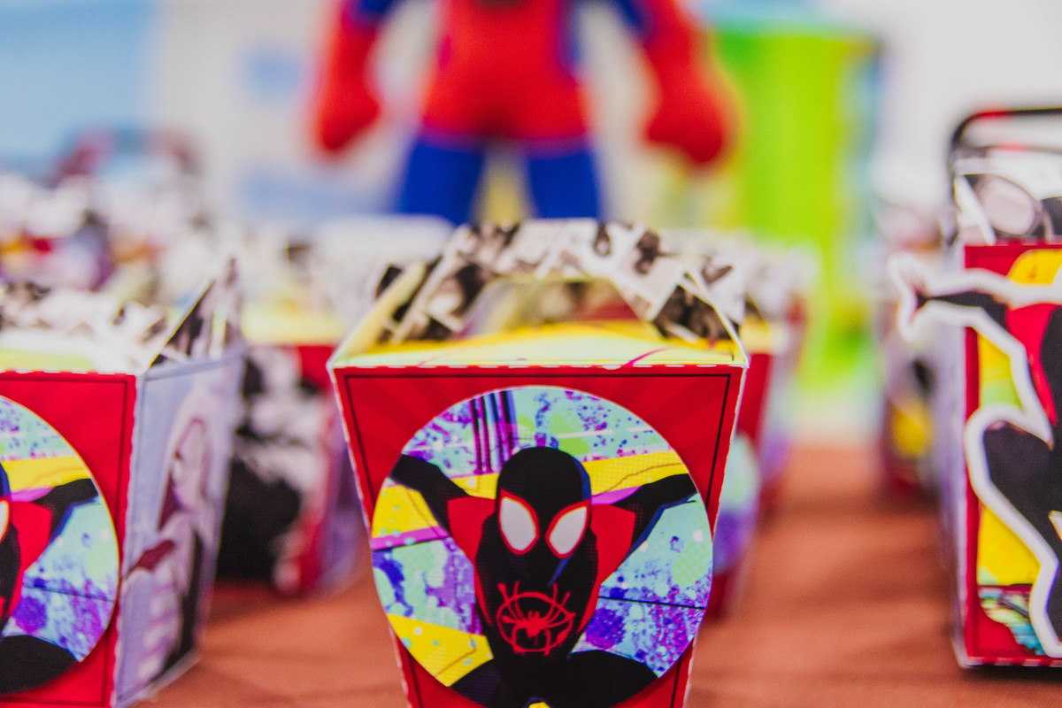 fotografia festa infantil, fotografo festa infantil, fotografia festa infantil rio de janeiro, fotografo festa infantil rio de janeiro, fotografo festa infantil meier