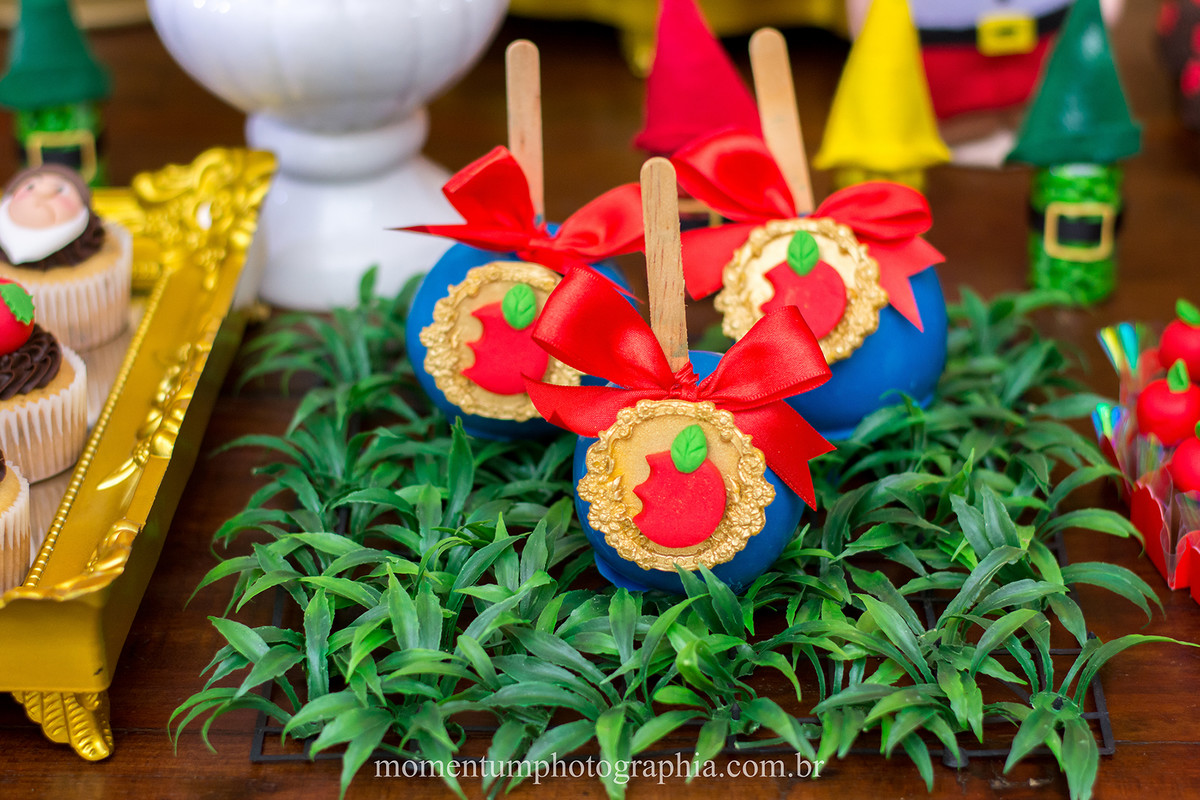 foto tirada por momentum photographia aniversario infantil em petropolis rj tema branca de neve
