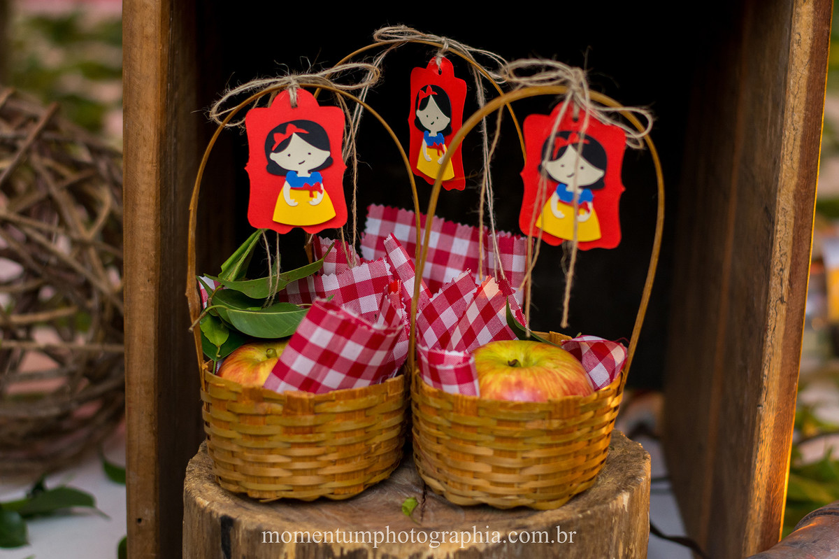foto tirada por momentum photographia aniversario infantil em petropolis rj tema branca de neve