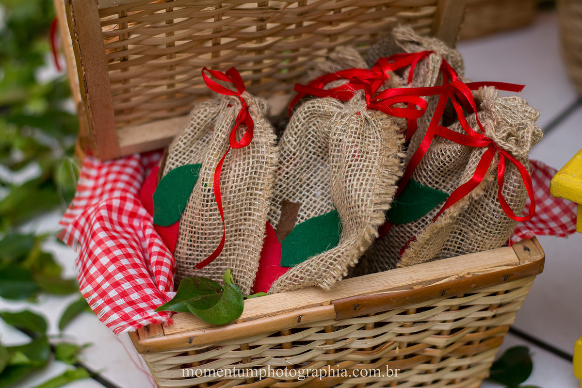 foto tirada por momentum photographia aniversario infantil em petropolis rj tema branca de neve