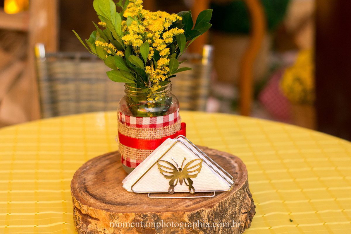 foto tirada por momentum photographia aniversario infantil em petropolis rj tema branca de neve