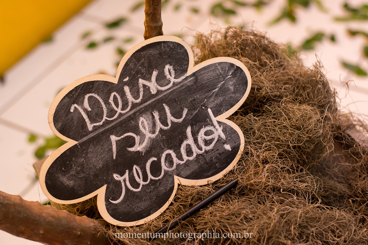 foto tirada por momentum photographia aniversario infantil em petropolis rj tema branca de neve