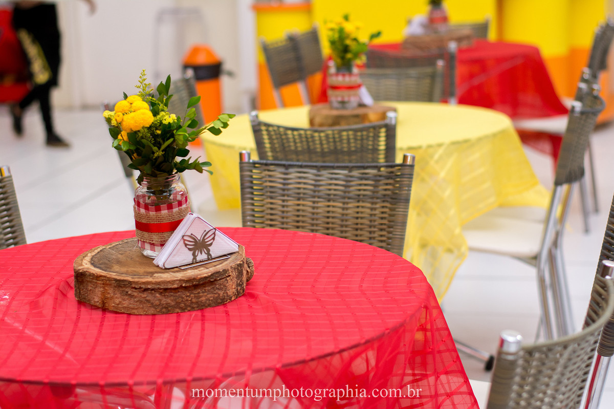 foto tirada por momentum photographia aniversario infantil em petropolis rj tema branca de neve