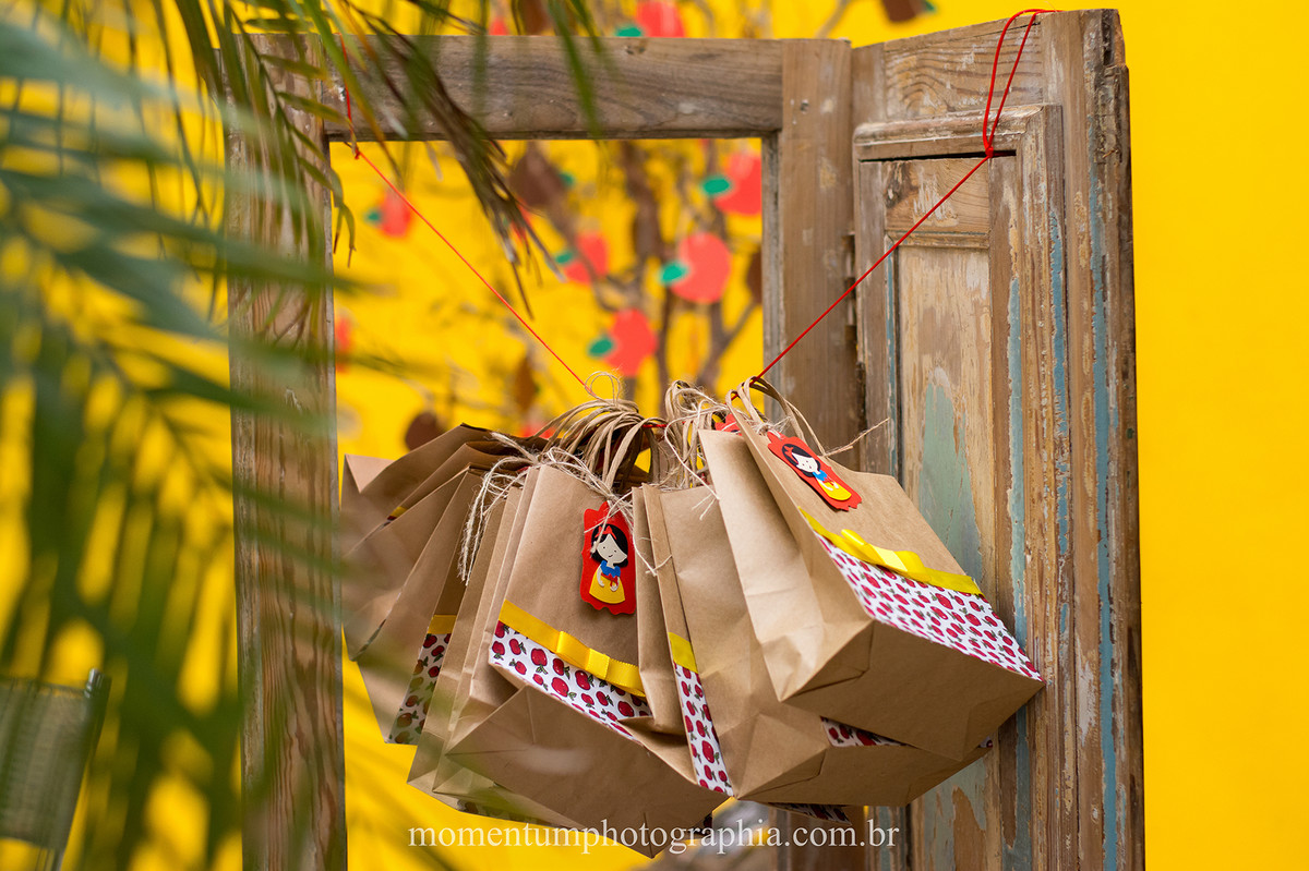 foto tirada por momentum photographia aniversario infantil em petropolis rj tema branca de neve