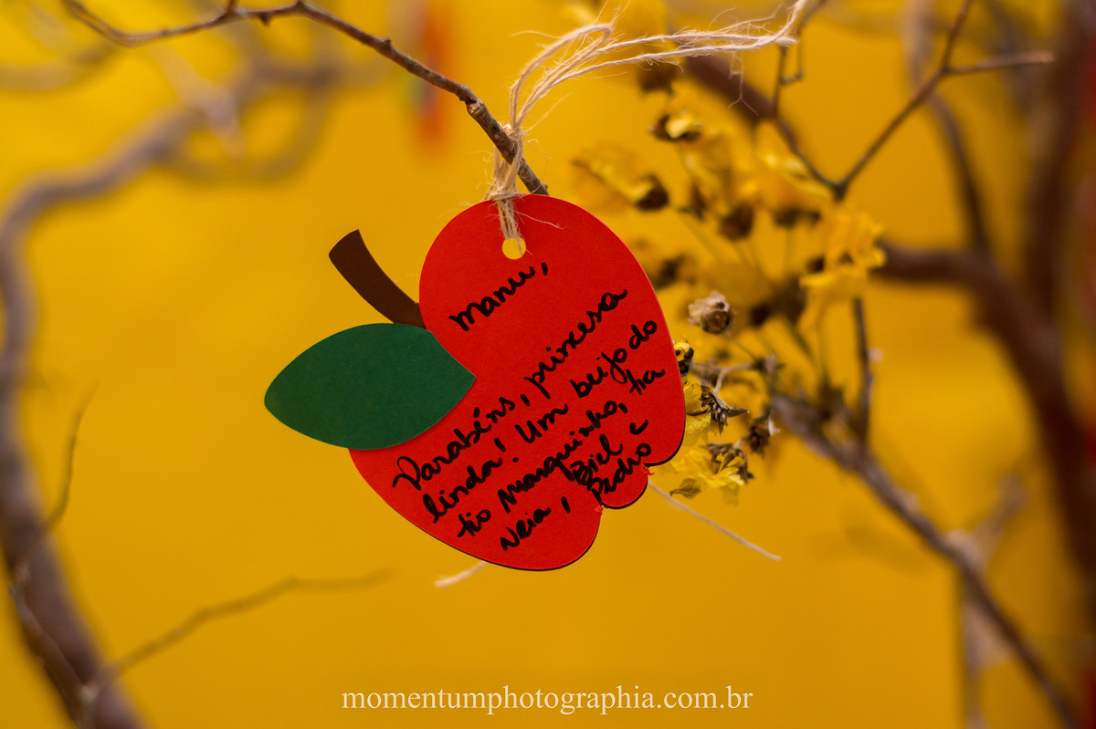 foto tirada por momentum photographia aniversario infantil em petropolis rj tema branca de neve