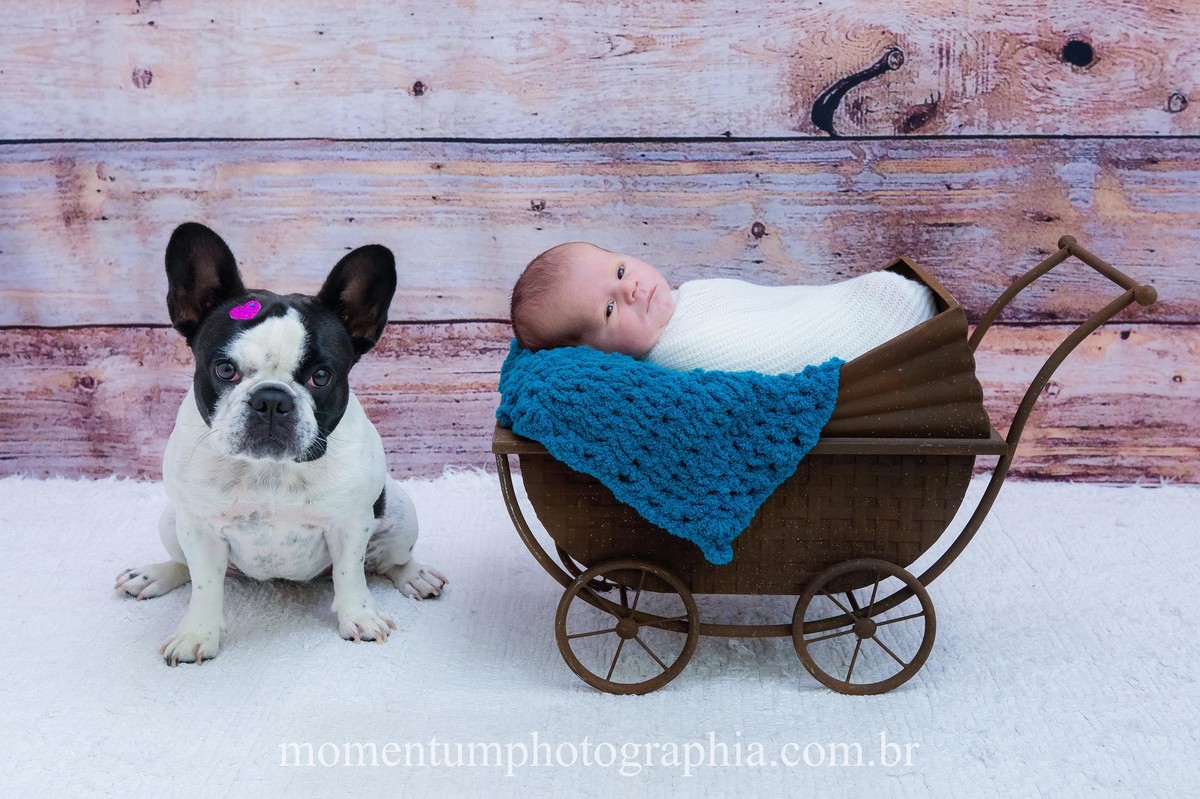foto tirada por momentum photographia ensaio newborn em petropolis rj estudio sessao menino recem nascido