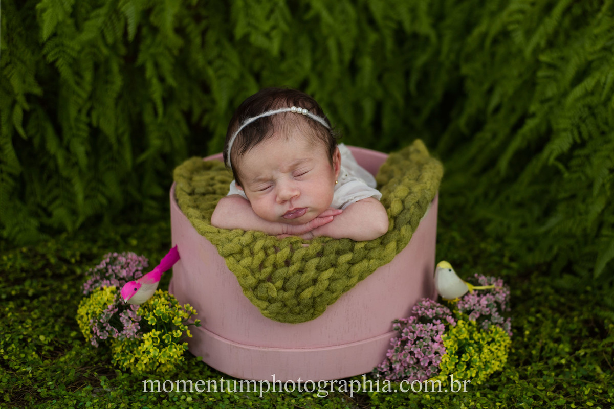 foto tirada por momentum photographia ensaio newborn em petropolis rj estudio sessao menina recem nascido