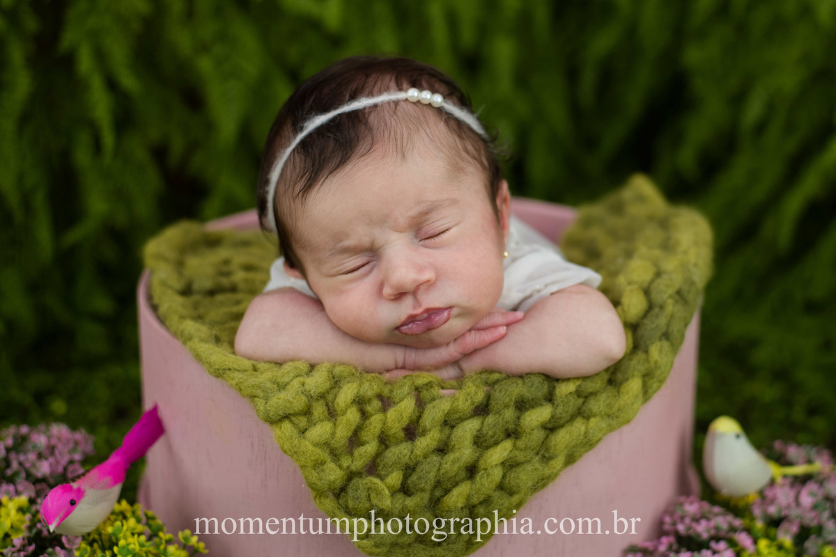 foto tirada por momentum photographia ensaio newborn em petropolis rj estudio sessao menina recem nascido