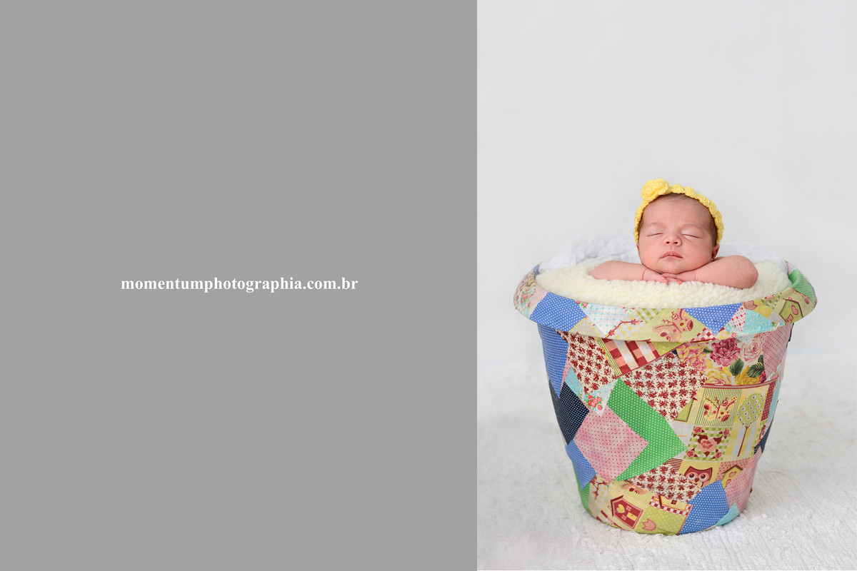 Foto de newborn tirada por Momentum Photographia em Petrópolis no estúdio