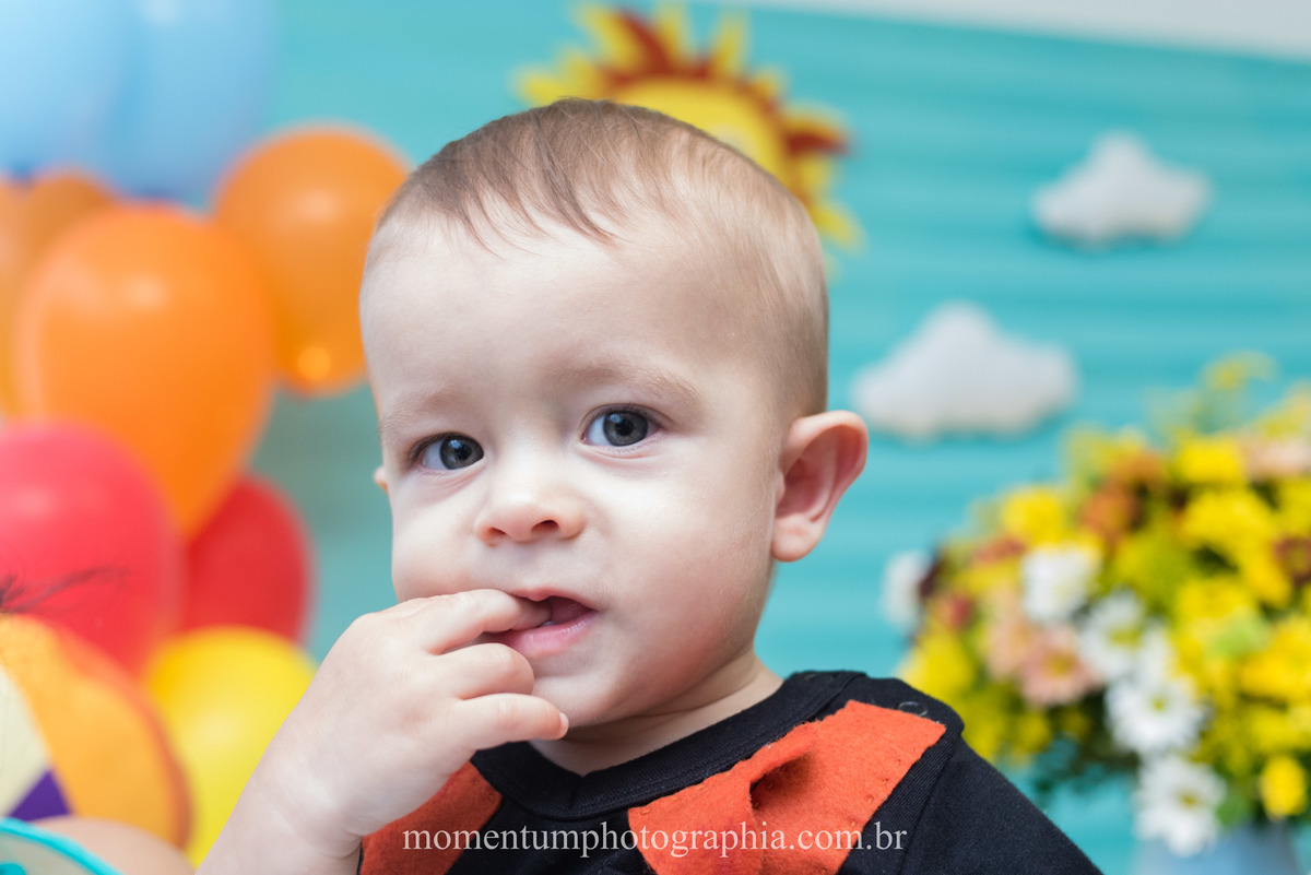 foto tirada por momentum photographia aniversario infantil em petropolis rj tema mundo bita