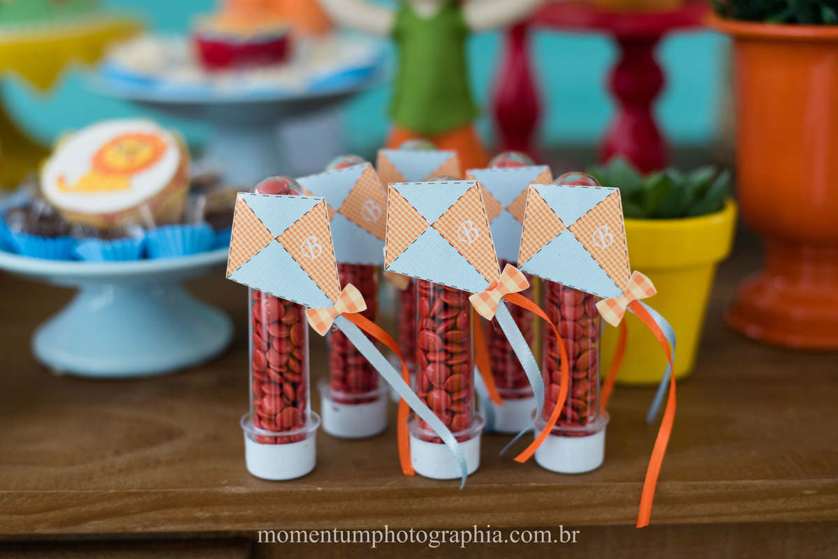 foto tirada por momentum photographia aniversario infantil em petropolis rj tema mundo bita