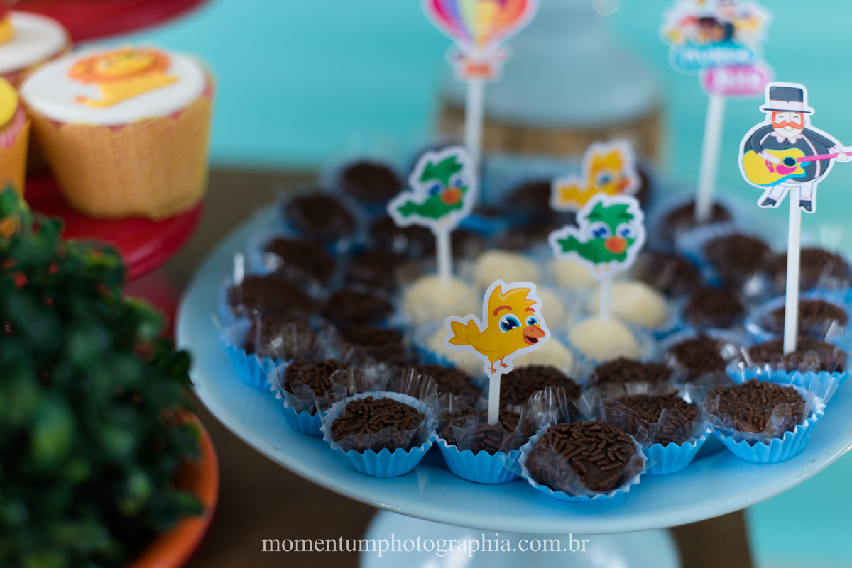 foto tirada por momentum photographia aniversario infantil em petropolis rj tema mundo bita