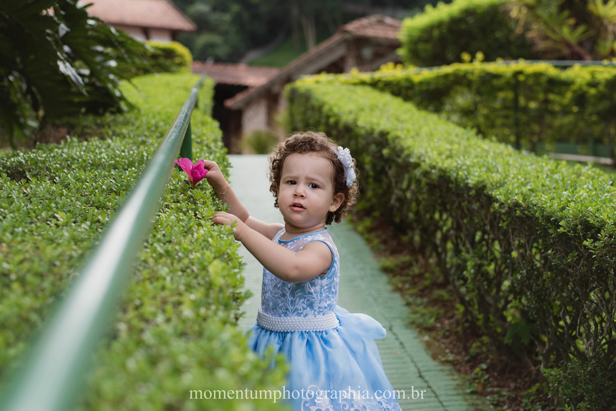 foto tirada por momentum photographia ensaio de família petropolis rj família
