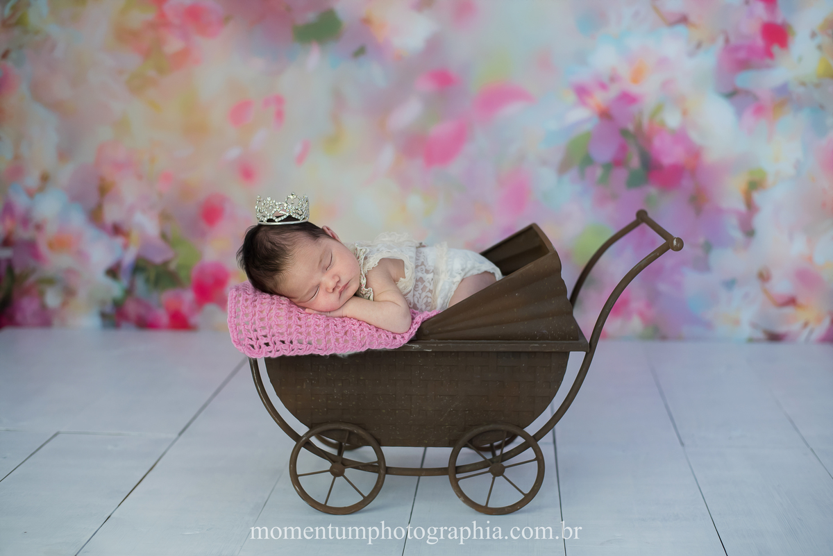 foto por momentum photographia sessao newborn ensaio recem nascido maternidade petropolis rj quitandinha estudio menina irmaos familia foto de gradivez gestacao profissional