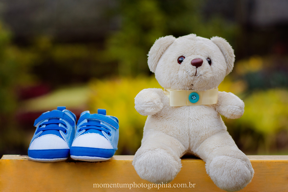 Foto de gestante grávida tirada pela Momentum Photographia em Petrópolis - RJ cachoeira ursinho sapatinho de bebê