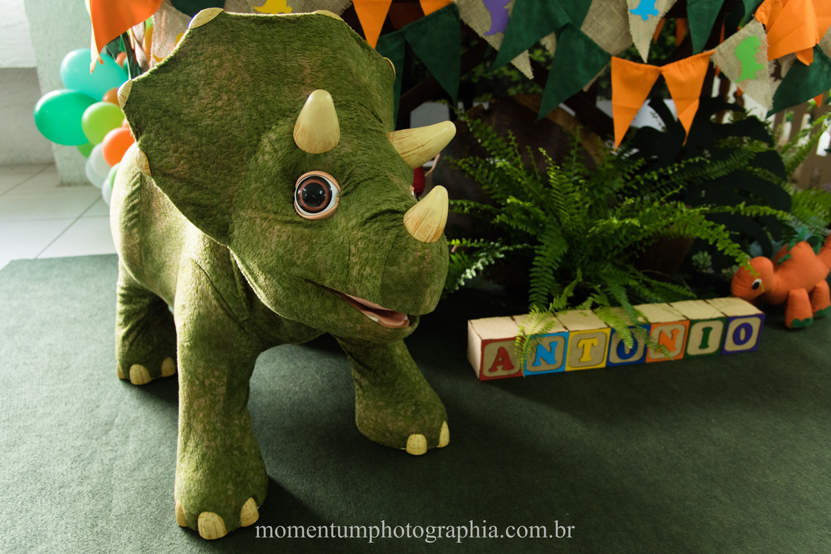foto tirada por momentum photographia em petropolis rj aniversario infantil dinossauros