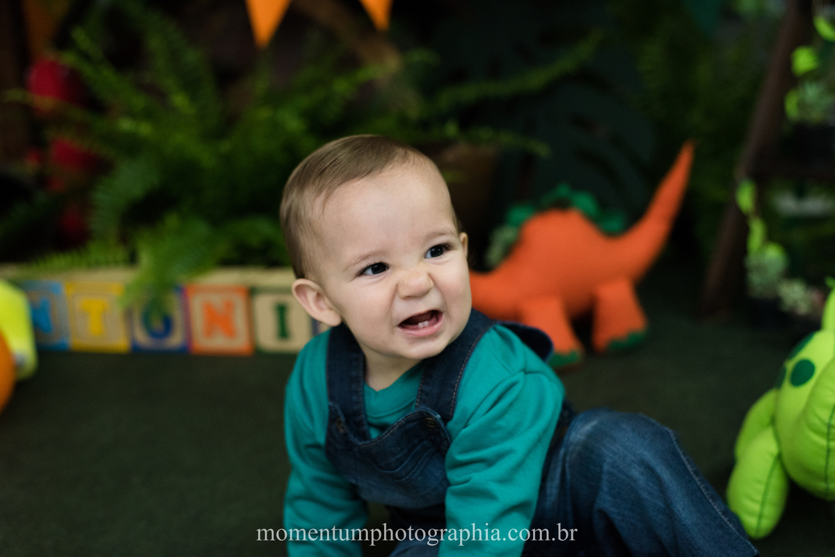 foto tirada por momentum photographia em petropolis rj aniversario infantil dinossauros