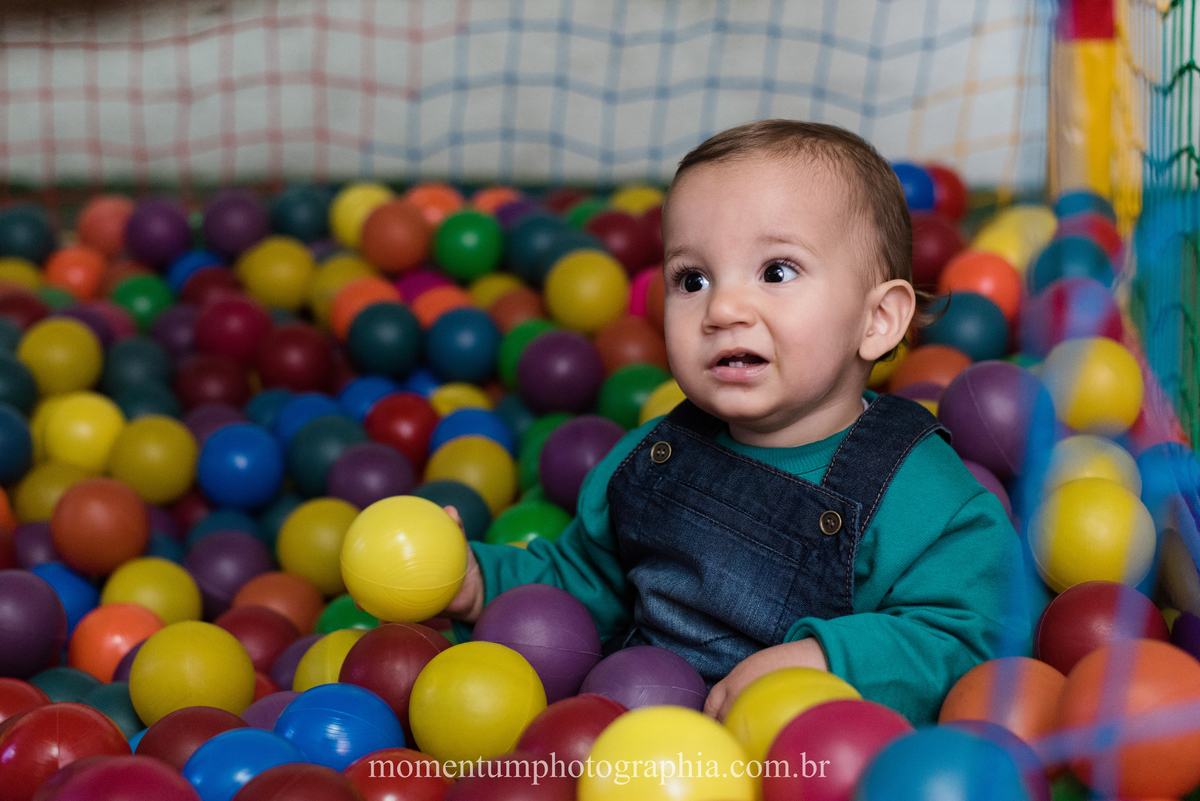 foto tirada por momentum photographia em petropolis rj aniversario infantil dinossauros