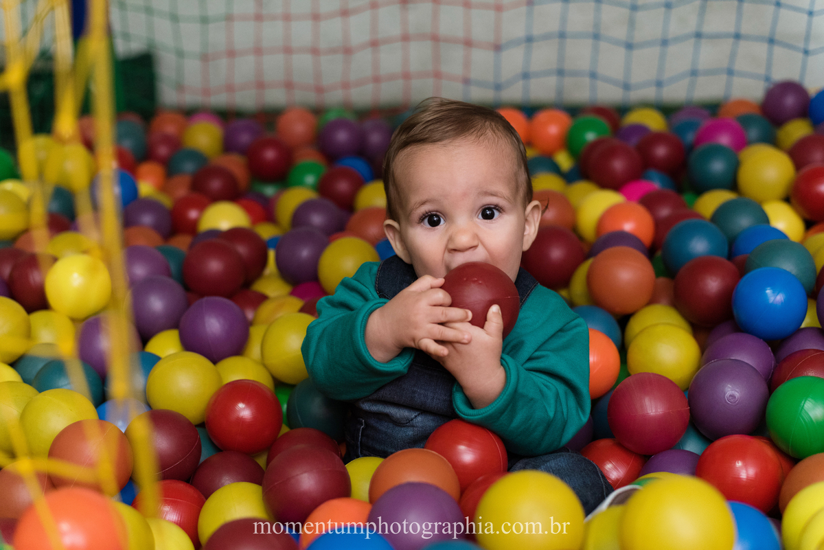 foto tirada por momentum photographia em petropolis rj aniversario infantil dinossauros