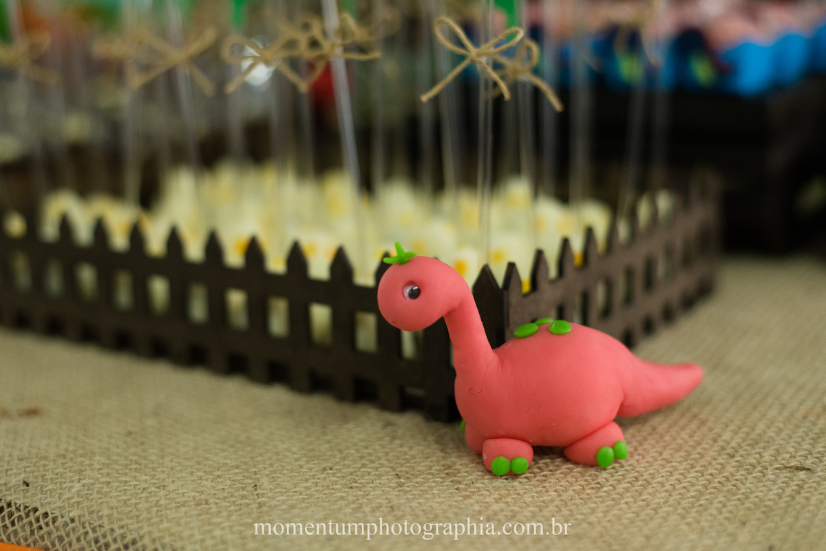 foto tirada por momentum photographia em petropolis rj aniversario infantil dinossauros