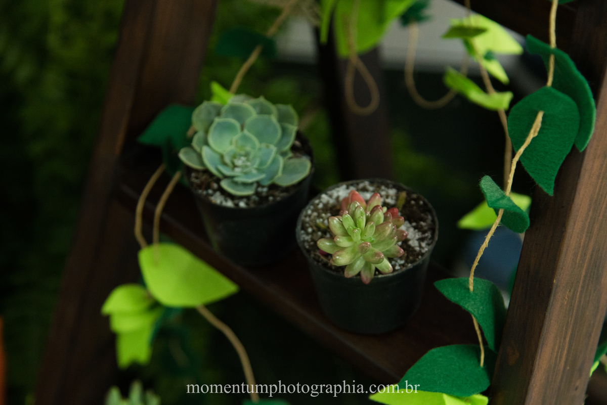 foto tirada por momentum photographia em petropolis rj aniversario infantil dinossauros