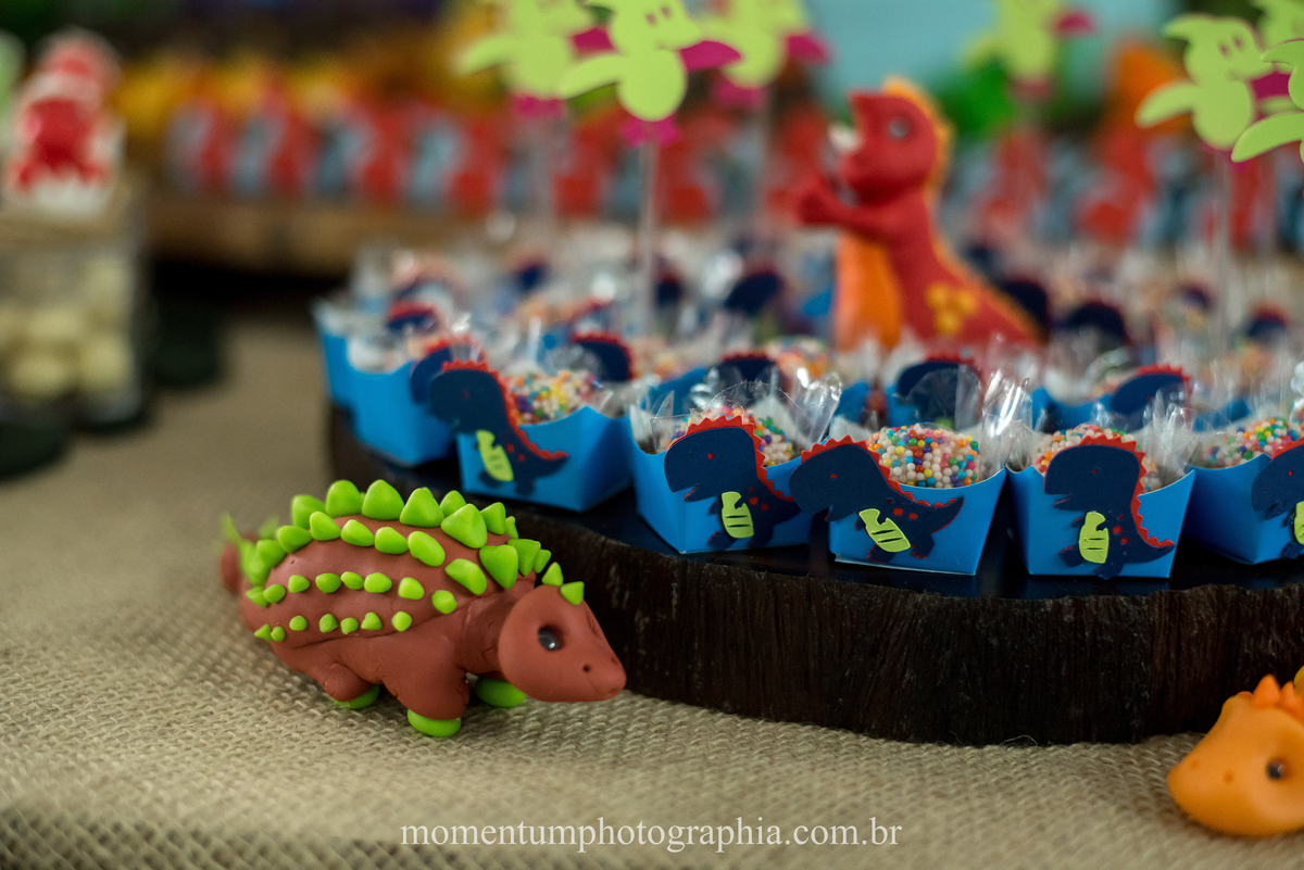 foto tirada por momentum photographia em petropolis rj aniversario infantil dinossauros