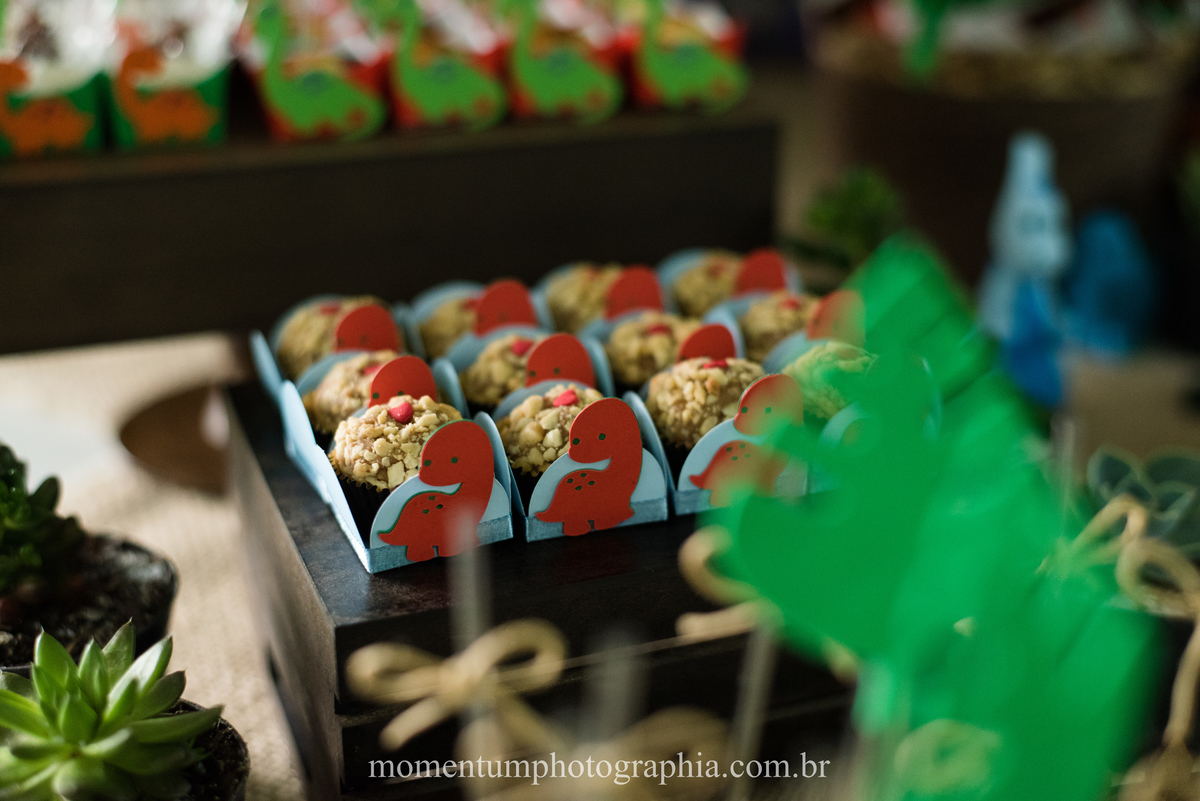 foto tirada por momentum photographia em petropolis rj aniversario infantil dinossauros