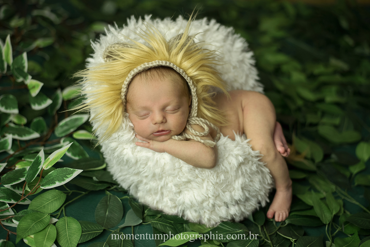 ensaio newborn petropolis rj foto sessão recem nascido tirada por momentum photographia maternidade gestante cidade imperial nasceu menino primeiro filho fotografia em estúdio