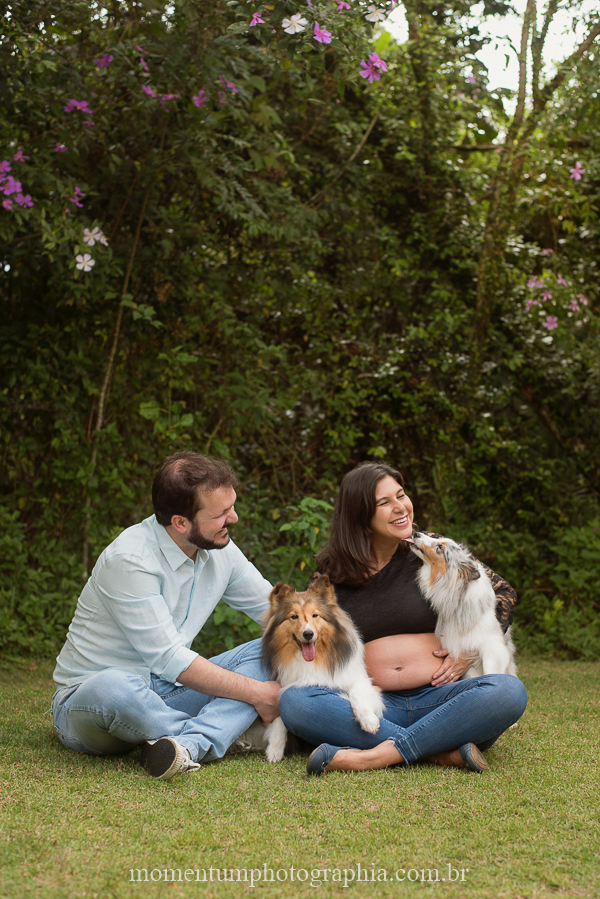 ensaio gestante em petrópolis rj cachorros esperando foto por momentum photographia