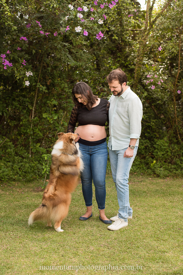 ensaio gestante em petrópolis rj cachorros esperando foto por momentum photographia