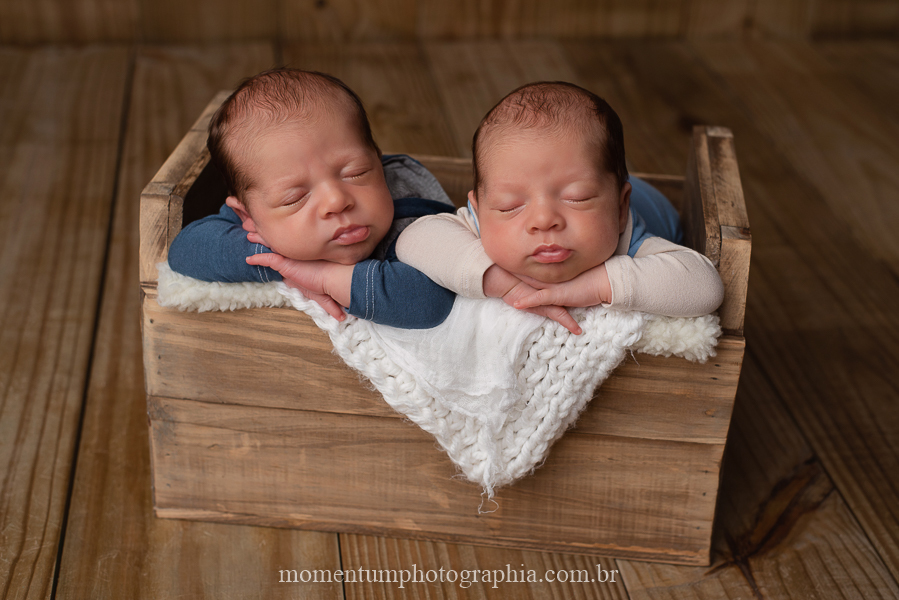 foto momentum photographia newborn gemeos petropolis rj estudio