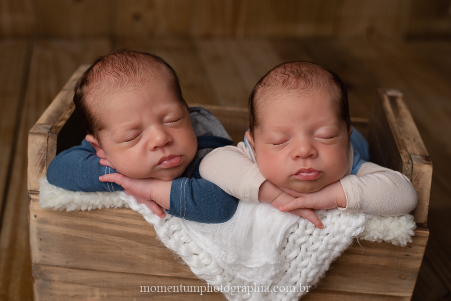 foto momentum photographia newborn gemeos petropolis rj estudio