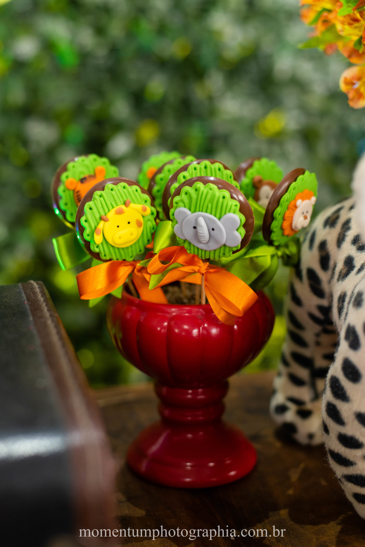 festa infantil safari petropolis rj momentum photographia