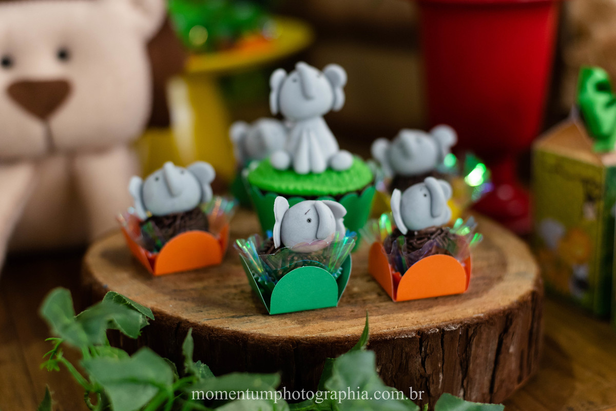 festa infantil safari petropolis rj momentum photographia