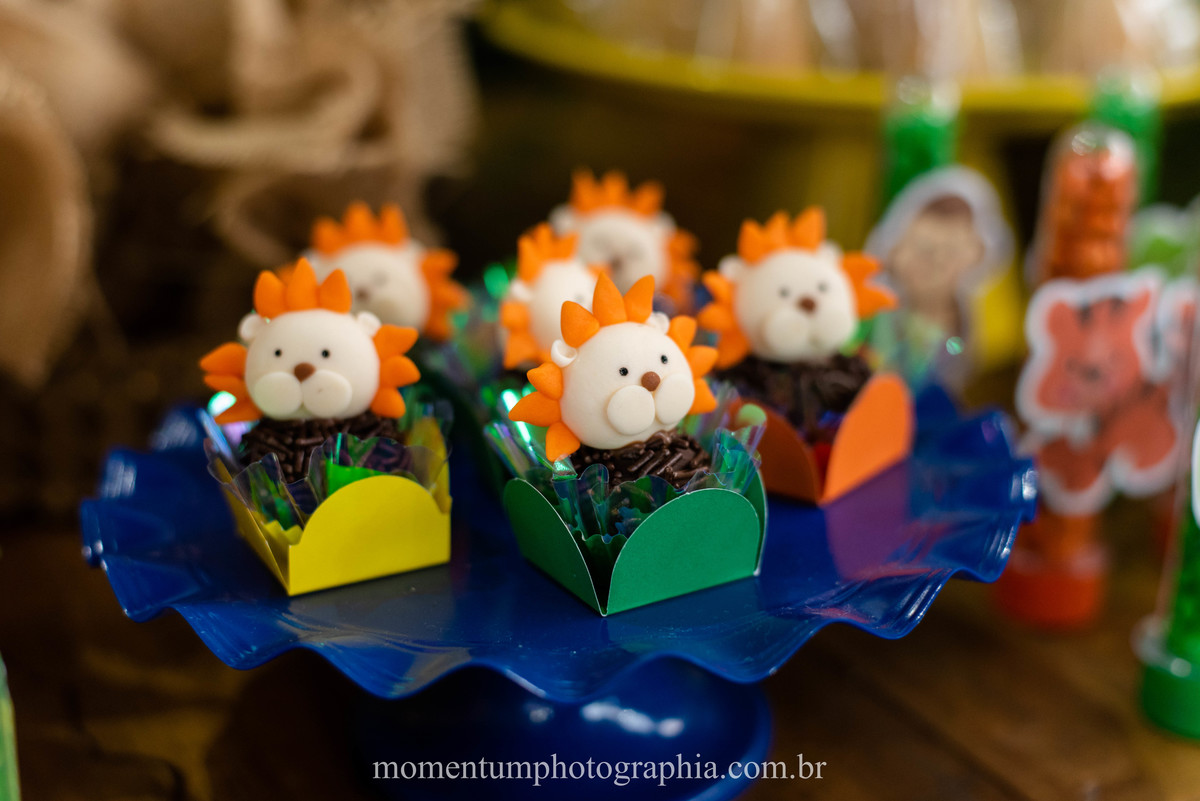 festa infantil safari petropolis rj momentum photographia
