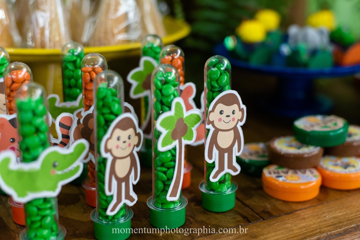 festa infantil safari petropolis rj momentum photographia