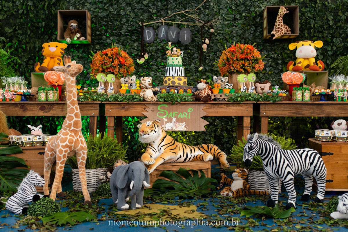 festa infantil safari petropolis rj momentum photographia