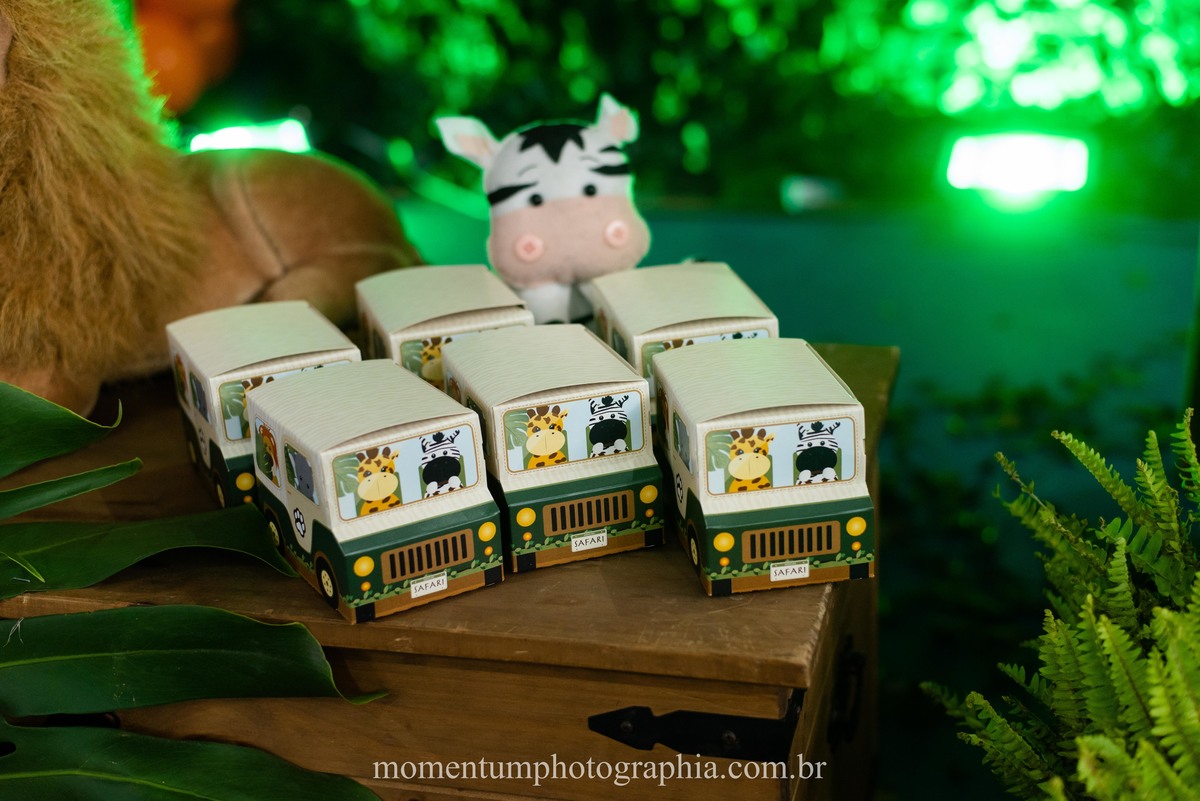 festa infantil safari petropolis rj momentum photographia
