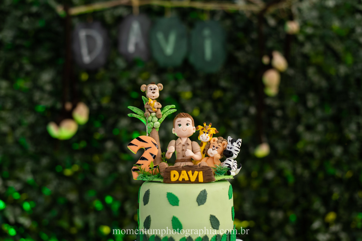 festa infantil safari petropolis rj momentum photographia