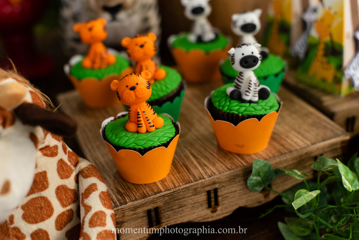 festa infantil safari petropolis rj momentum photographia